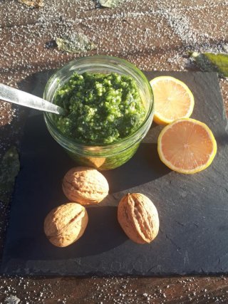 Grünkohl-Walnuss-Pesto