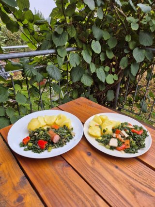 Grünkohl vegan/vegetarisch oder traditionell