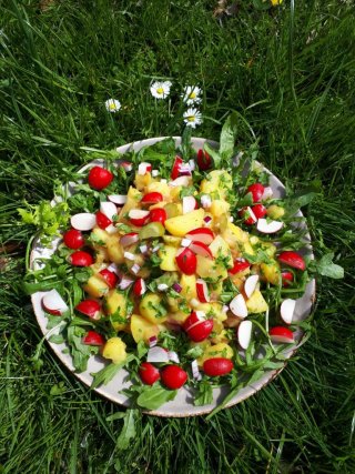 Radieschen-Kartoffel-Salat