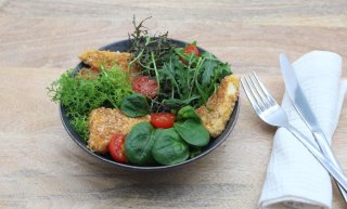 Panierter Feta auf buntem Salat