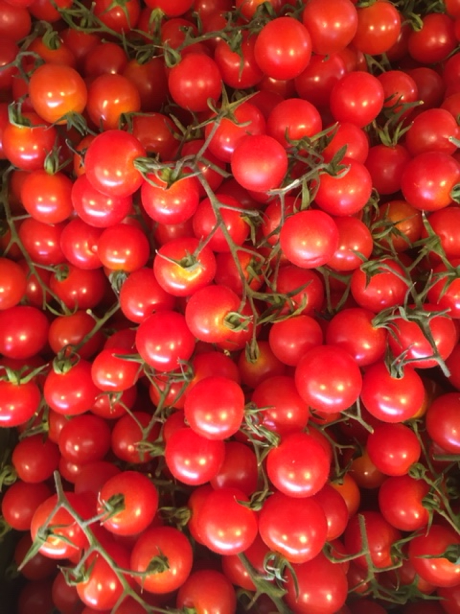 Tomate Cherry