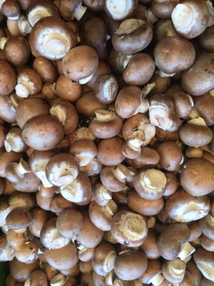 Champignons