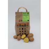 Kartoffel Bellinda 2 kg (festk.)