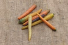 Möhren Bunter Mix