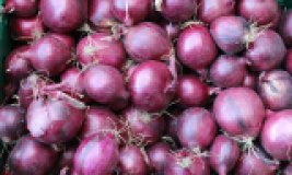 Rote Zwiebeln