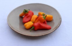 Snackpaprika, eigen