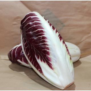 Radicchio