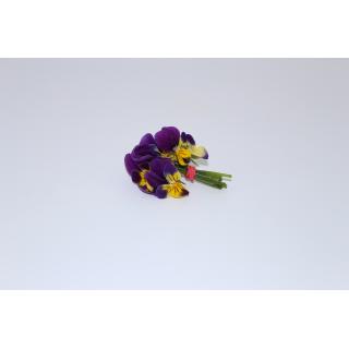 Essbare Blüten