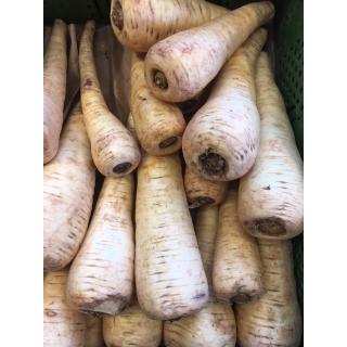 Pastinake
