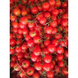 Tomate Cherry