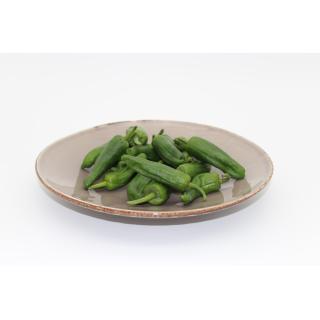 Bratpaprika scharf (Pimiento de Padron), eigen