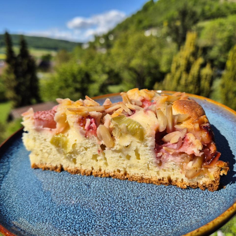 Saftiger Erdbeer Rhabarber Kuchen
