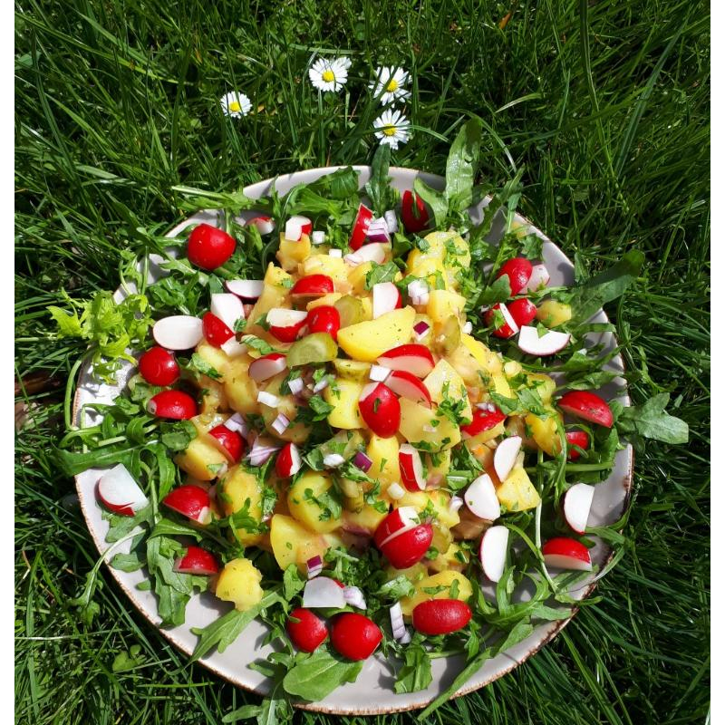 Radieschen-Kartoffel-Salat